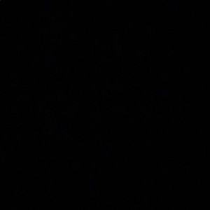 Meet your Posher, Oscar